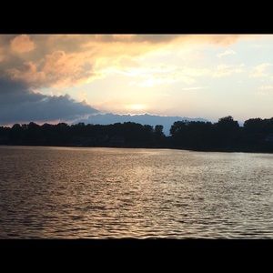 Meet your Posher, Bruce